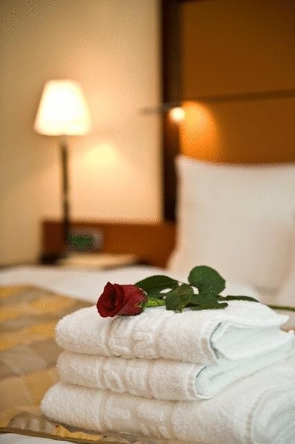 Aparthotel Premier Podgorica Rom bilde